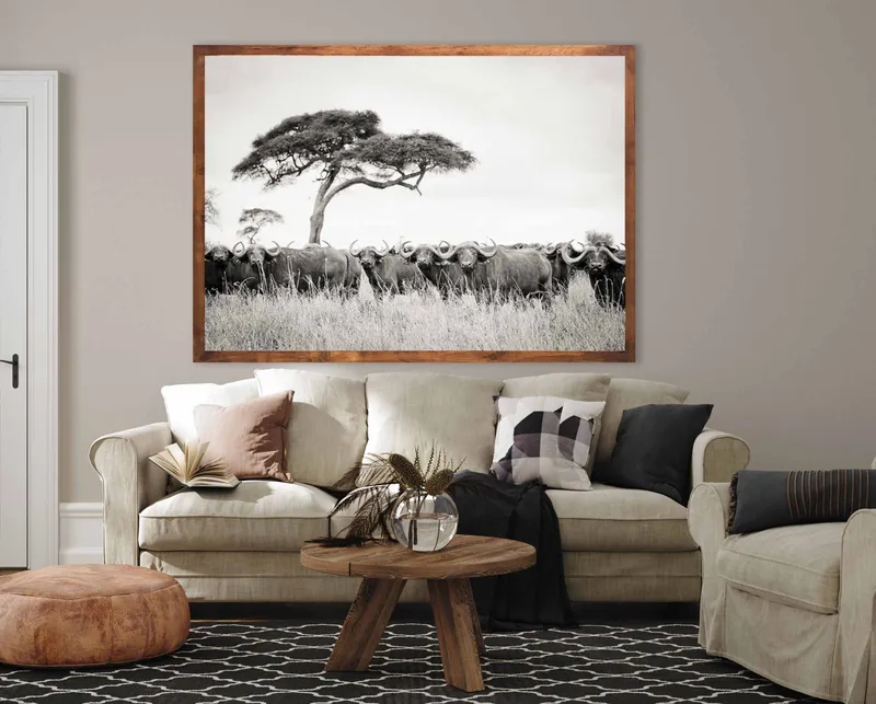 Buffalo stare down - Image 1