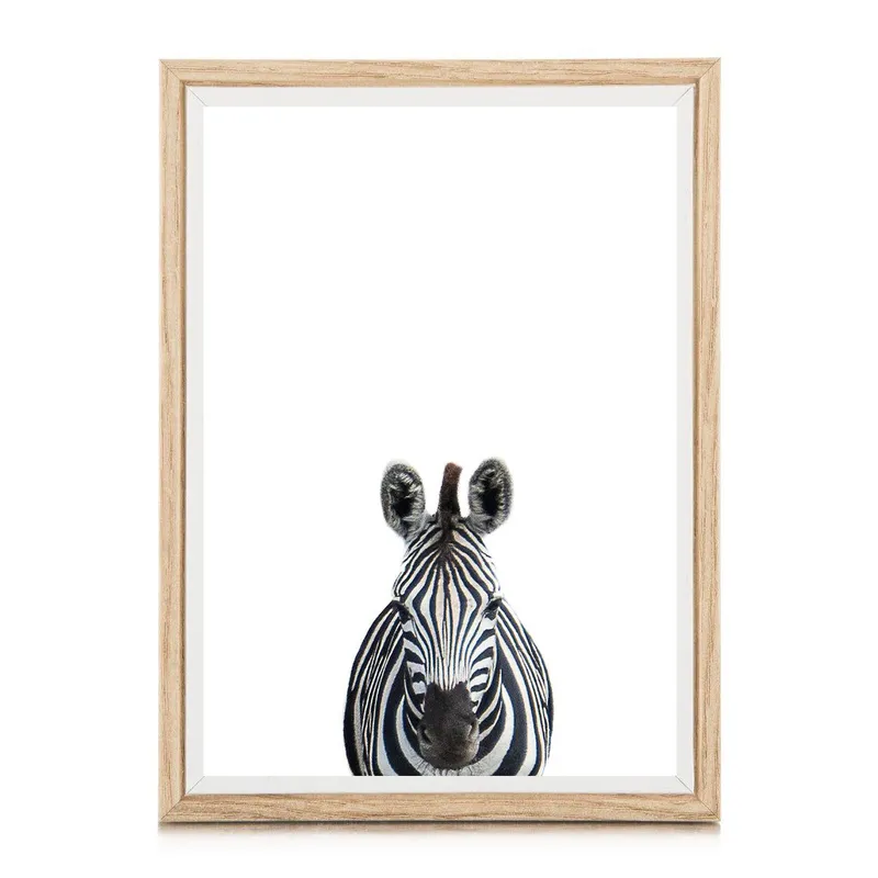 Safari babies | Zac - Image 3