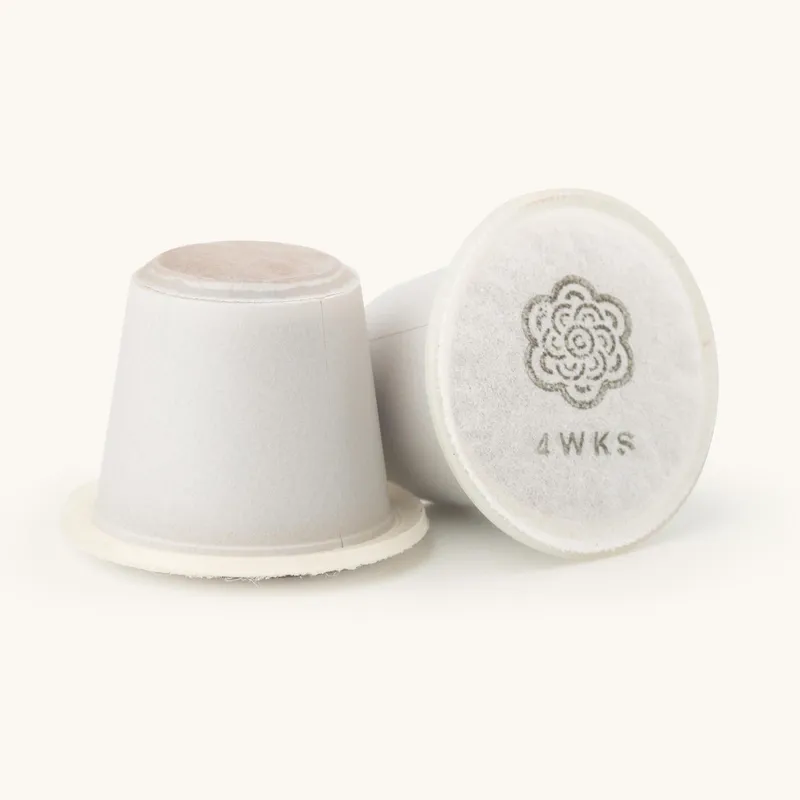 Hazz Pods (Box of 10) - Image 2