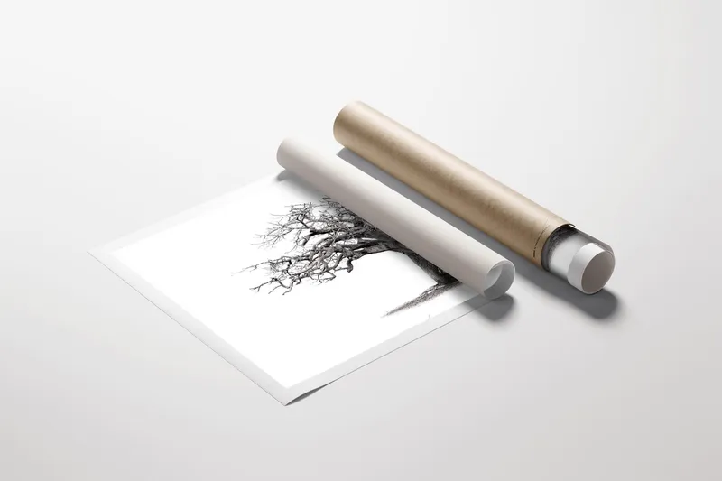 Monkey Bread Tree Rolled Canvas - Image 2