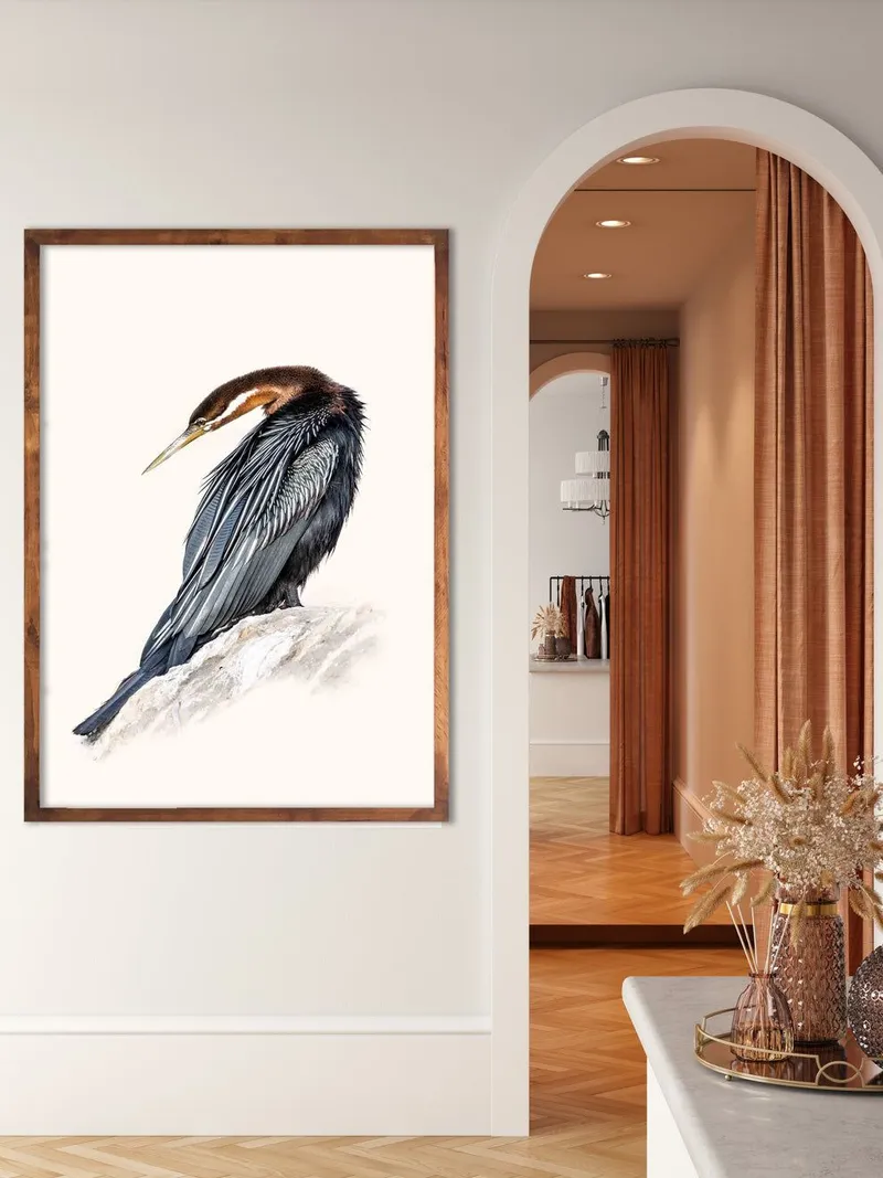 African Darter - Image 1