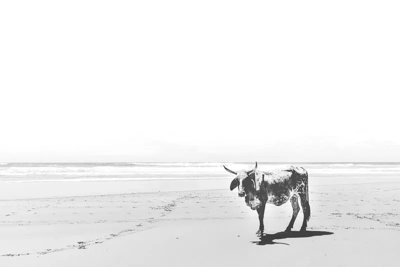 The beach - Image 2