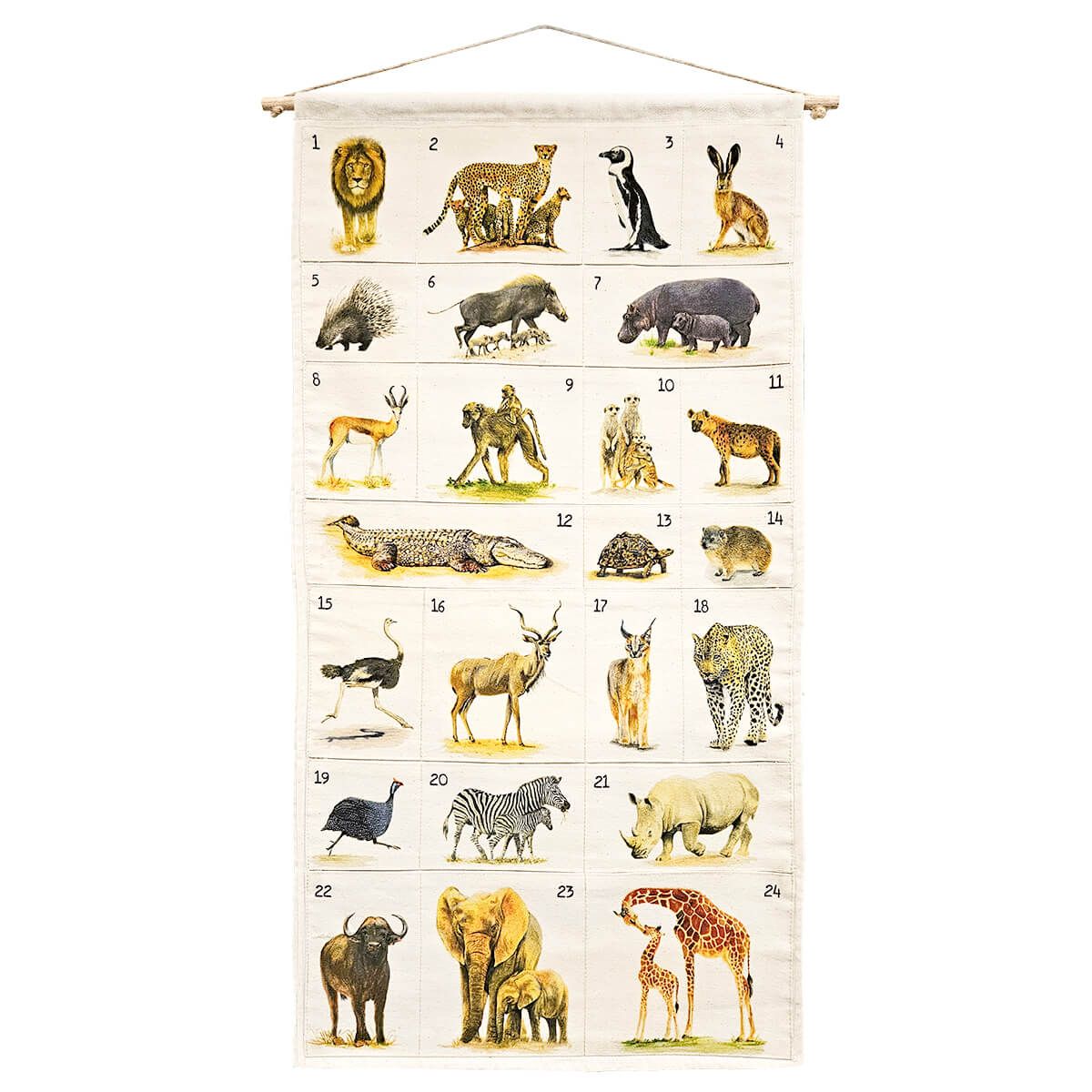 Advent Calendar - African Animals