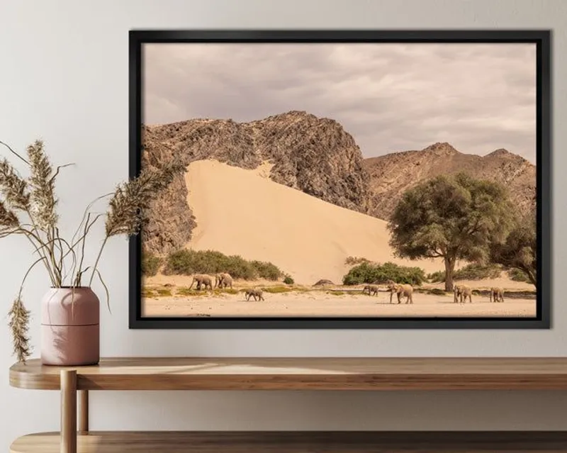 Savanna - Image 8
