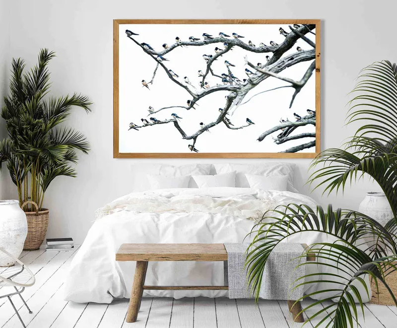 Faded Flock - Image 1