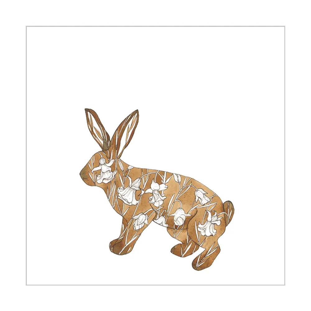 Riverine rabbit & doll's rose