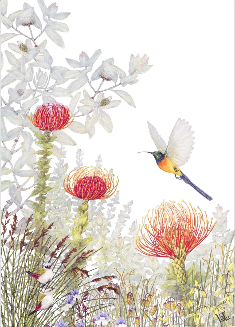 Tea Towels - Pincushion