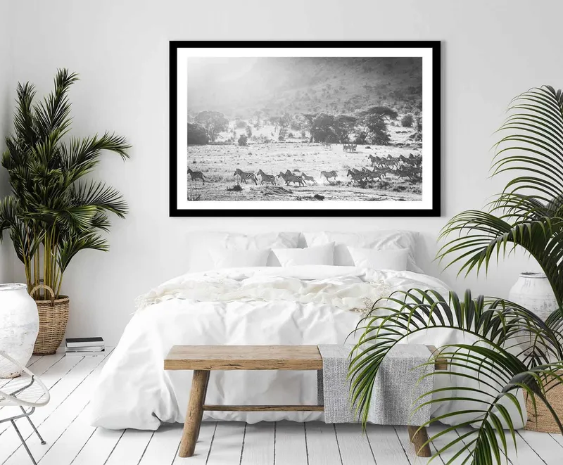 Serengeti zebras - Image 7