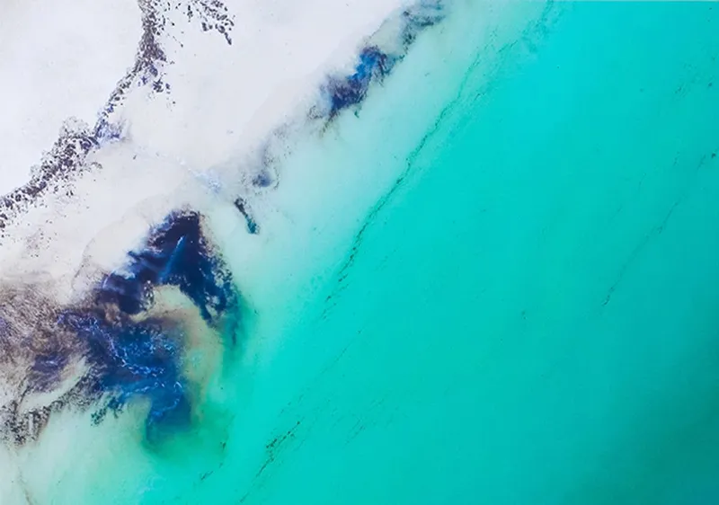 Michamvi Zanzibar - Image 2