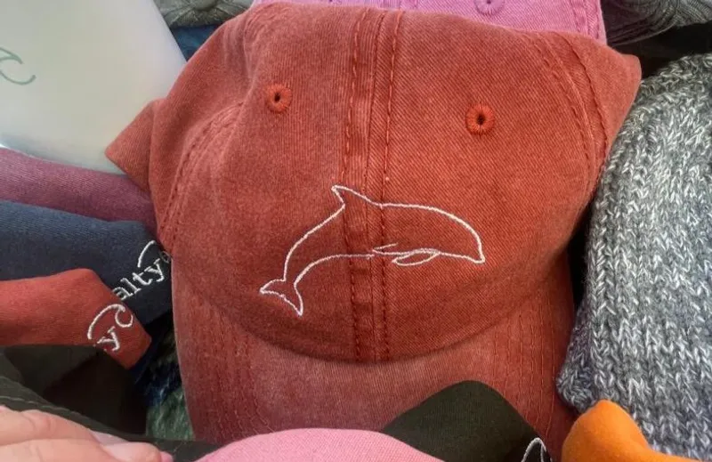 Embroidered Dolphin Dad Cap - Image 1