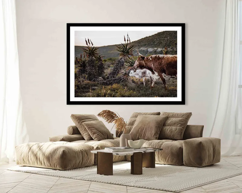 Nguni and aloe - Image 7