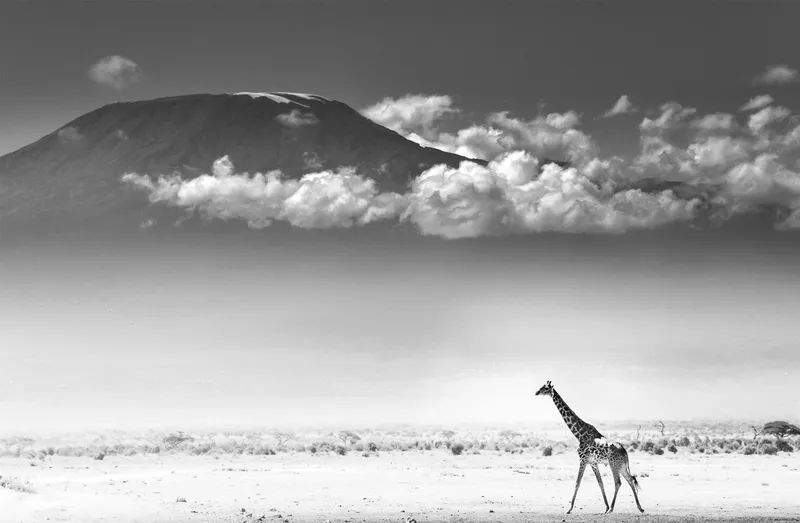 Kilima-Njaro - Image 2