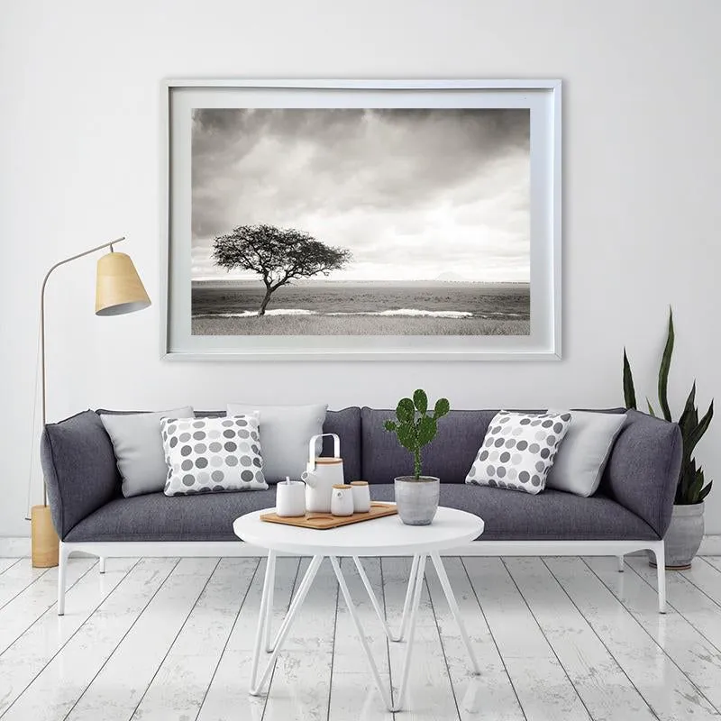 Fever tree simplicity - Image 8