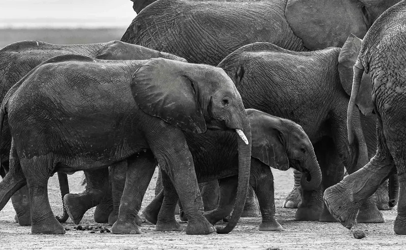 On the track - Image 2