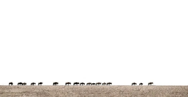 Marching on - Image 2