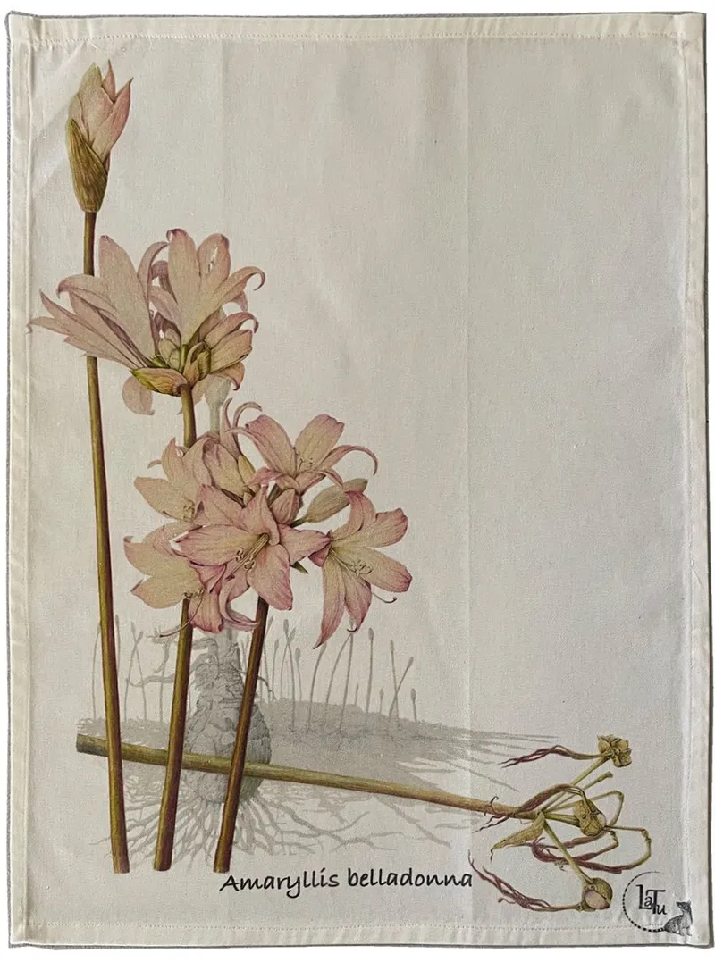 Tea Towels - Pink Perfection - Image 2