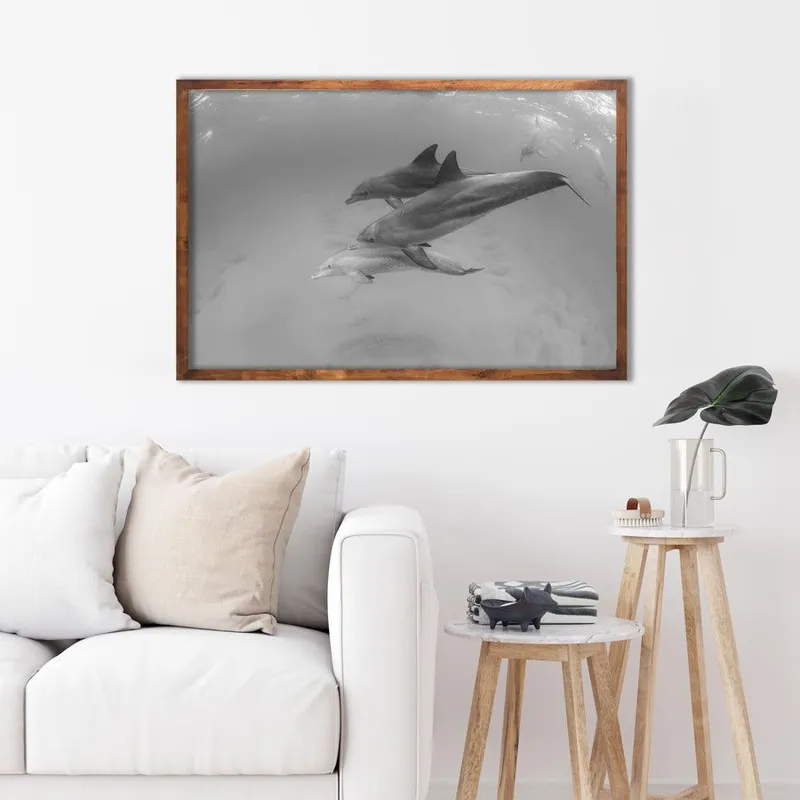 Majestic Swimmers - Image 1