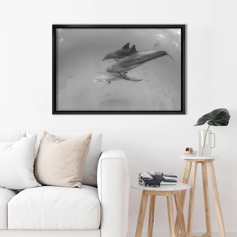 Majestic Swimmers - Image 8