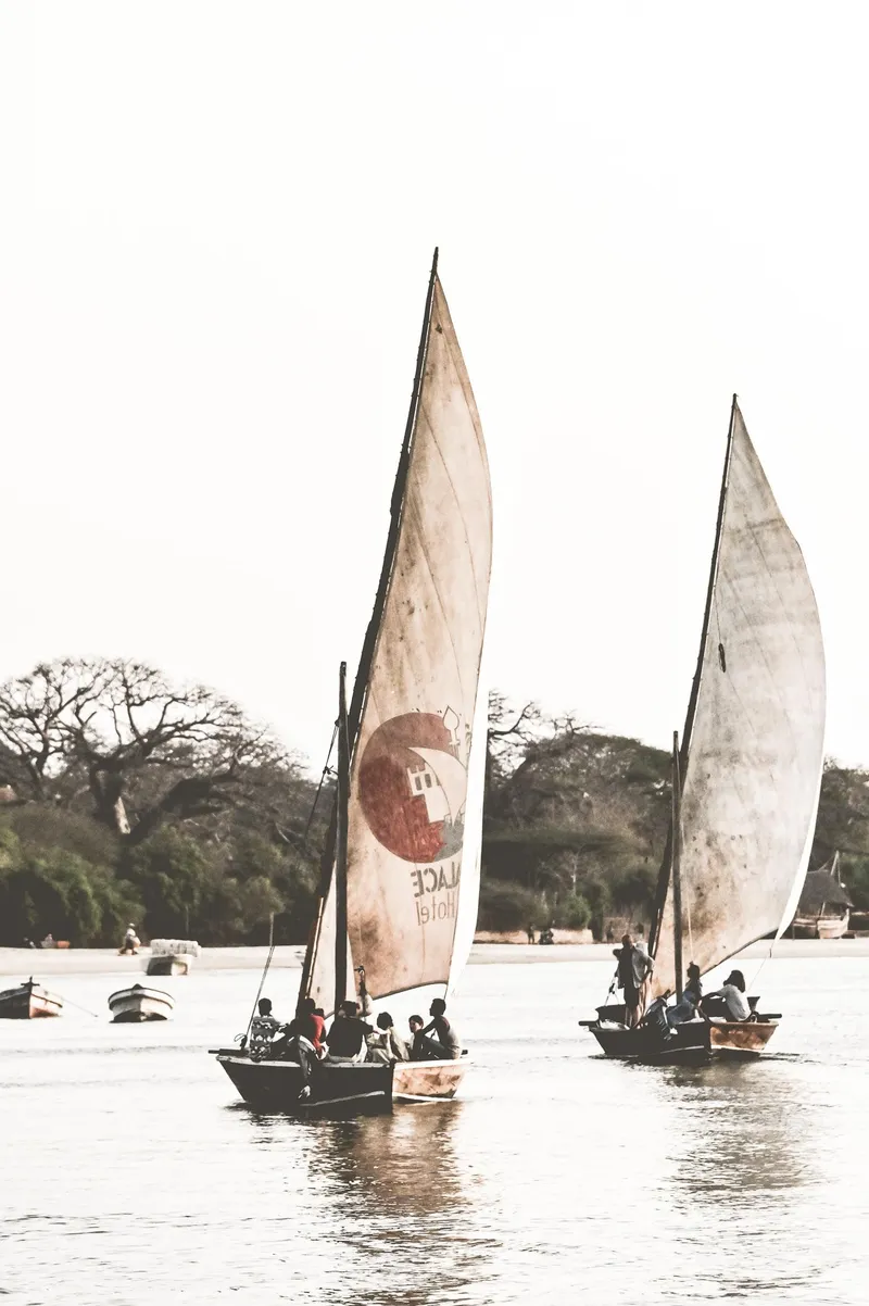 Baobab Sails - Image 2