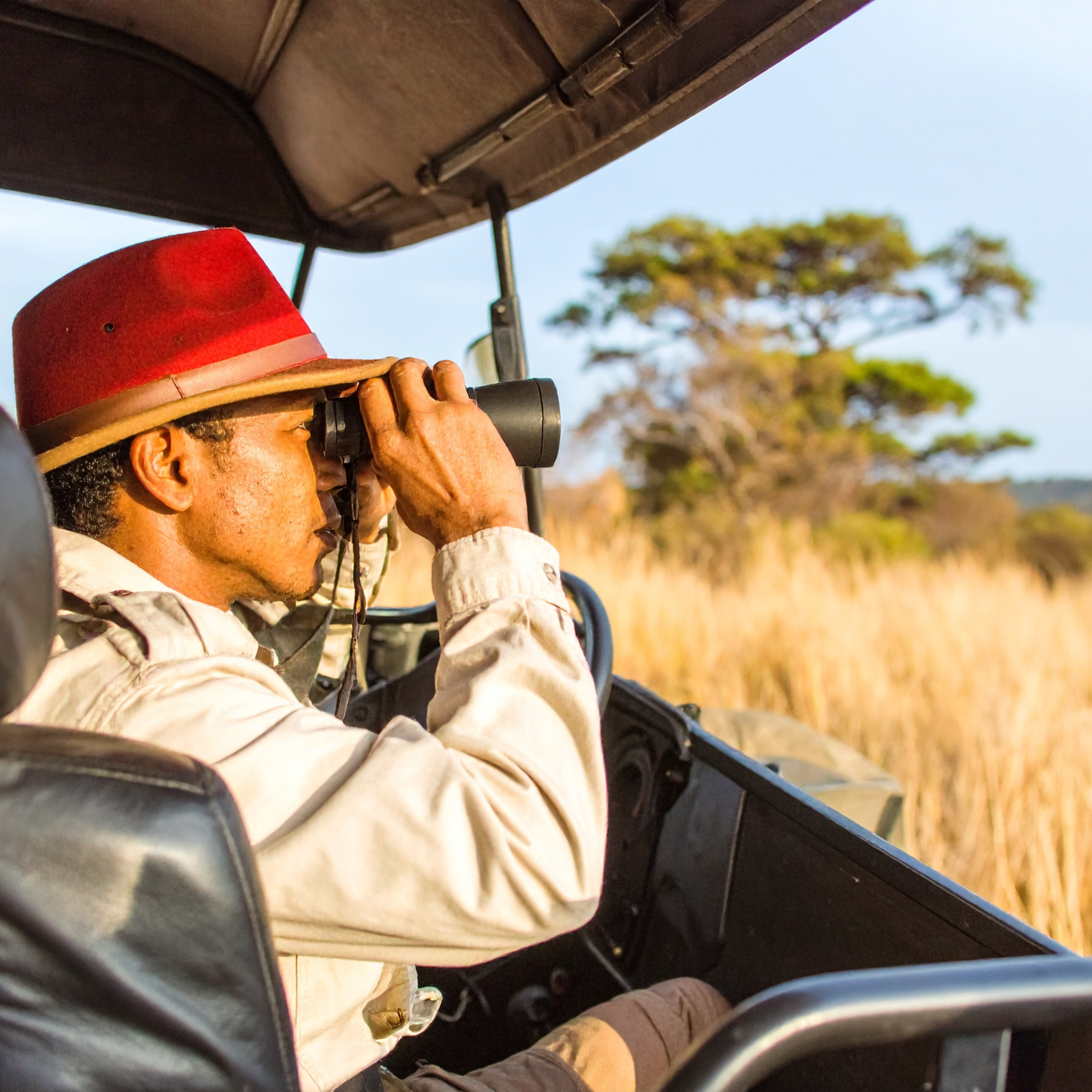 Safari Accessories