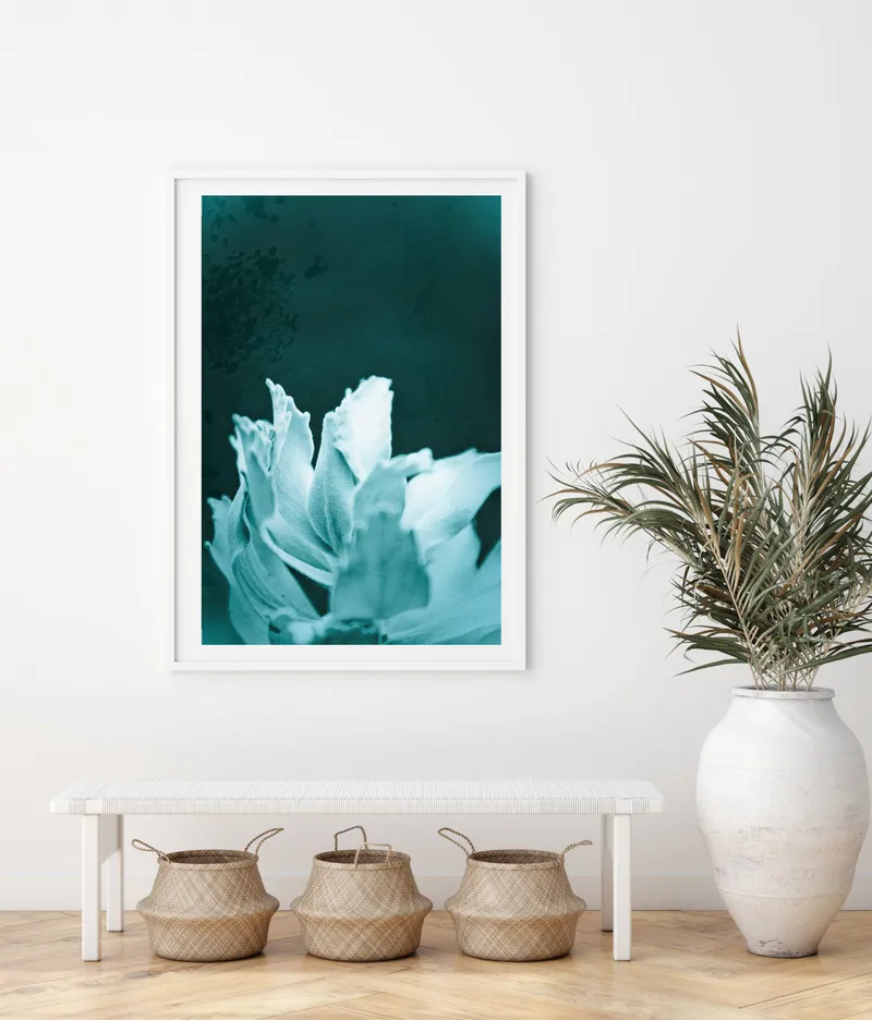 Delicate - Image 1