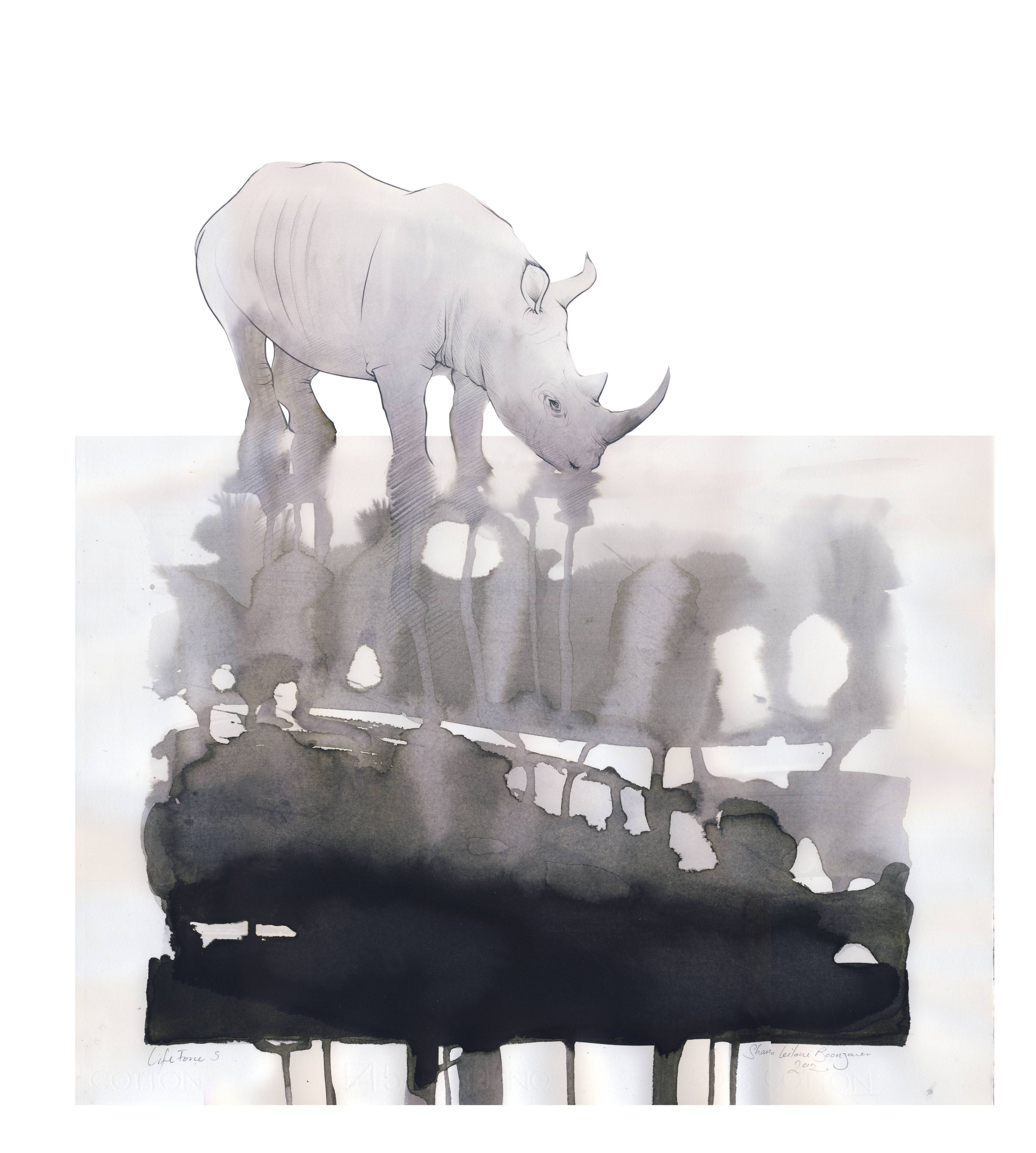 Grey Rhino