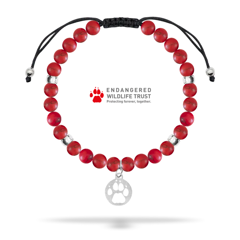 Endangered Wildlife Trust Charity Bracelet - Image 1