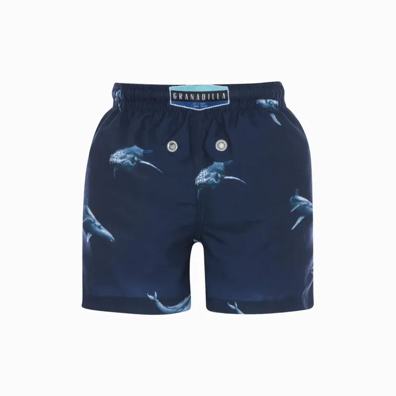 Kids Swim Shorts | Sea Life / Blue - Image 2