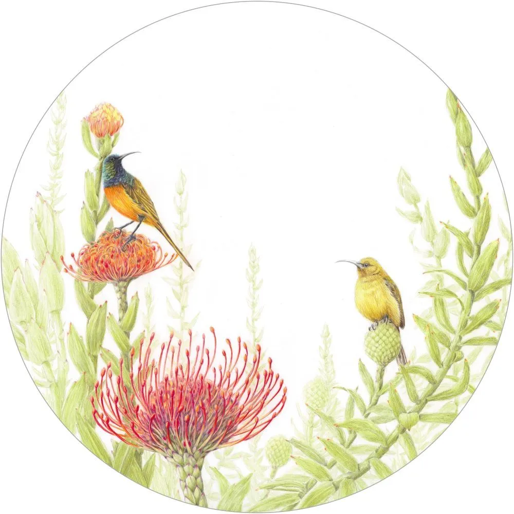 Placemat (Cork Backed) - Spring Fireworks