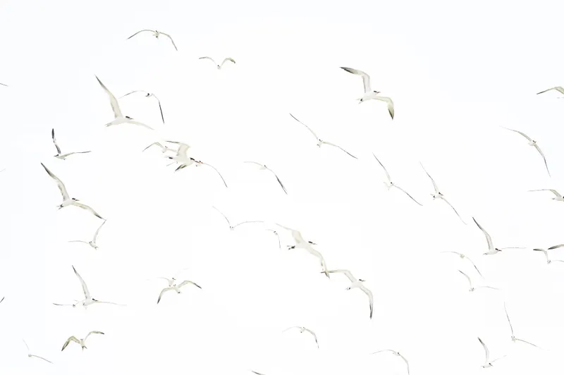 Free light - Image 6