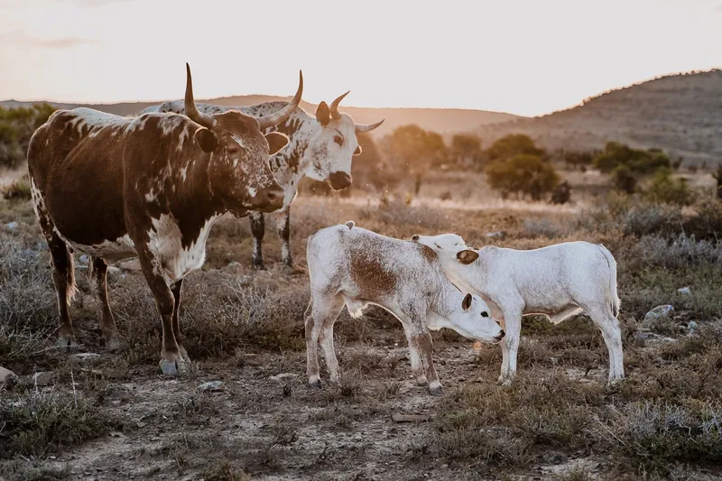 Togetherness - Image 2