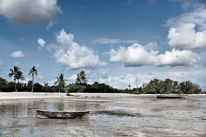 Tidal - Image 2