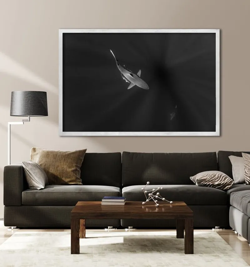 Sunlit Predator - Image 1