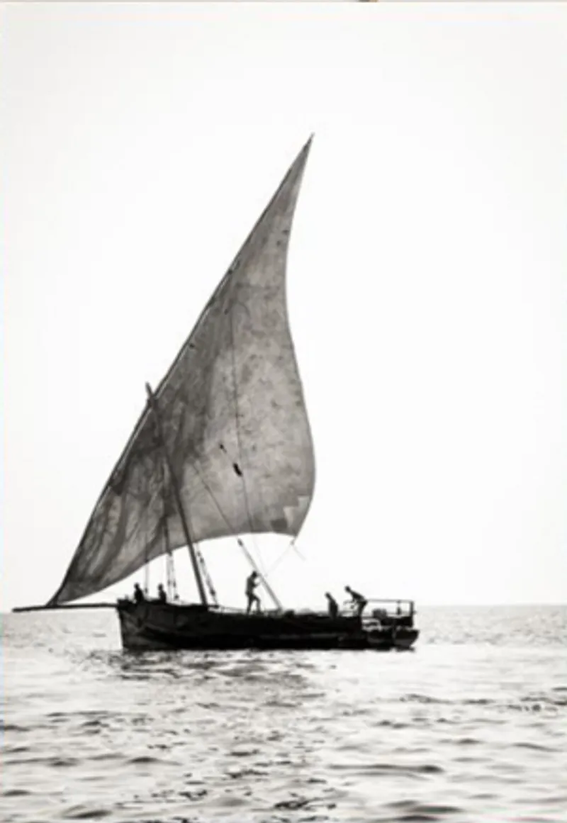 Changing winds - Image 2