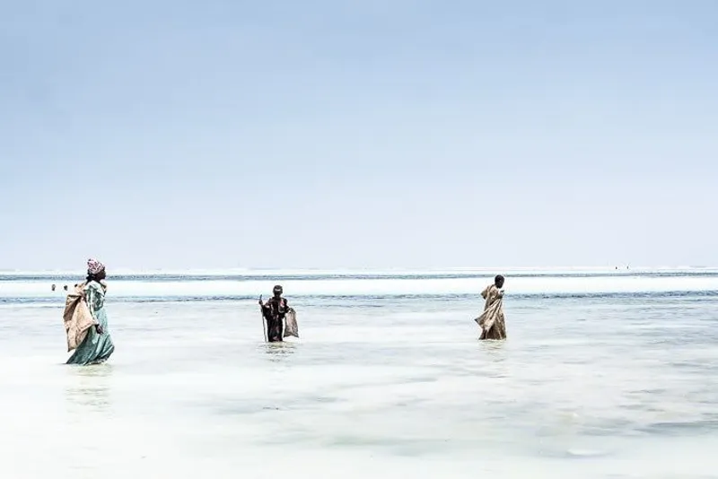 The seaweed collectors - Image 2