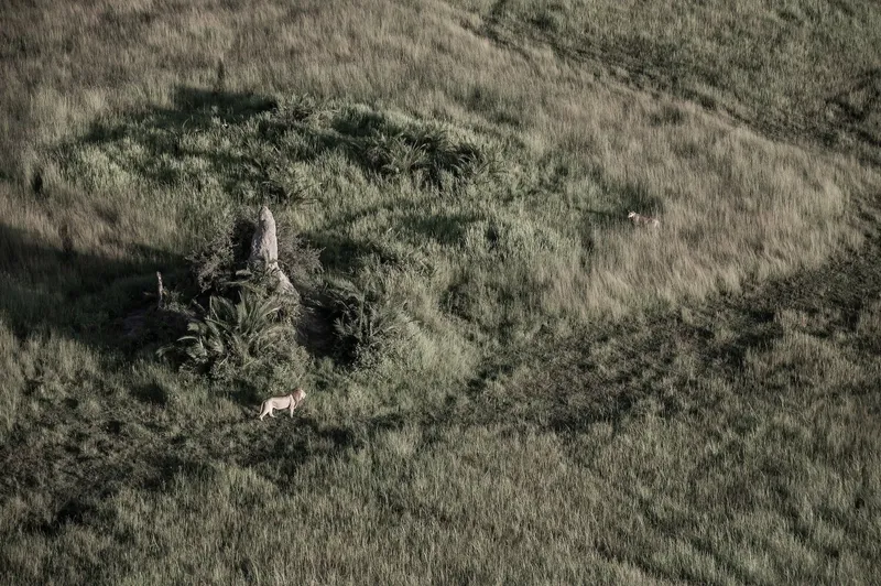 Hunter and huntress - Image 2