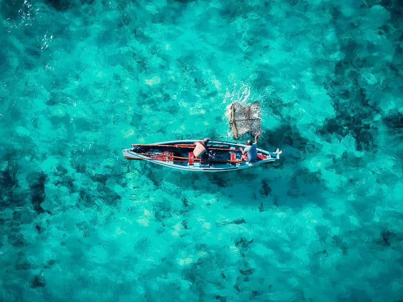 The Fish trap - Image 2