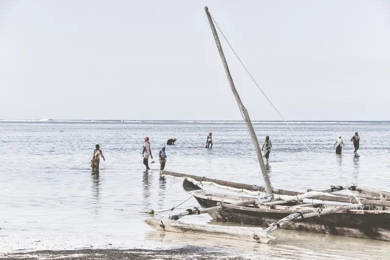 Collective (Limited Edition) - Image 2