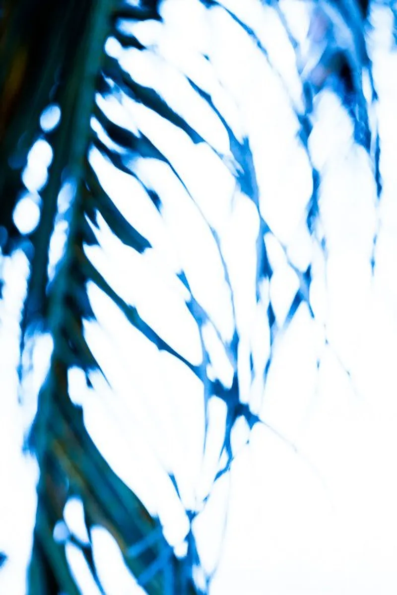 Swaying sky - Image 2