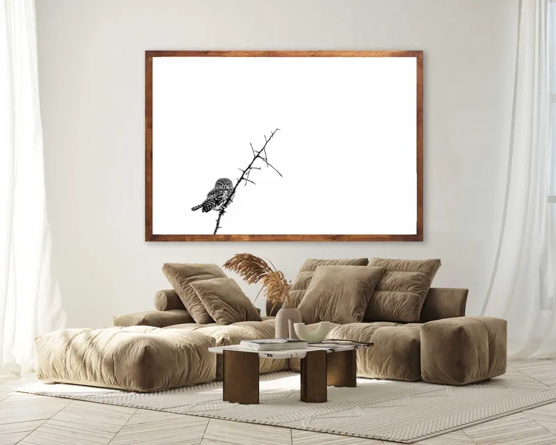 Spotted Spots - Image 1