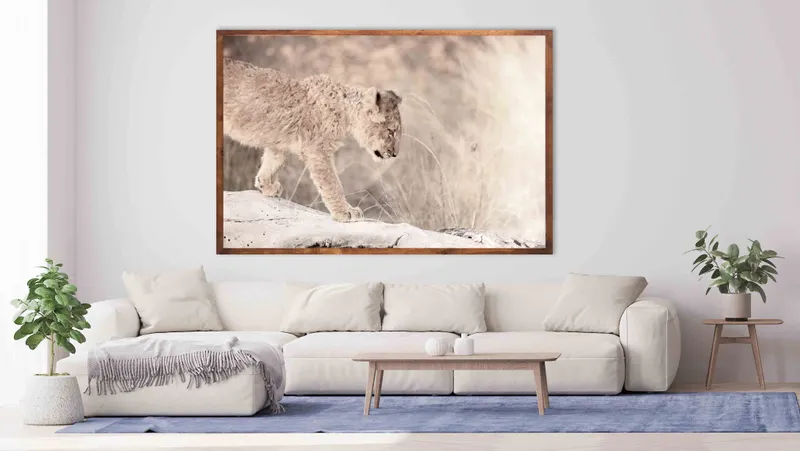 Life steps - Image 1