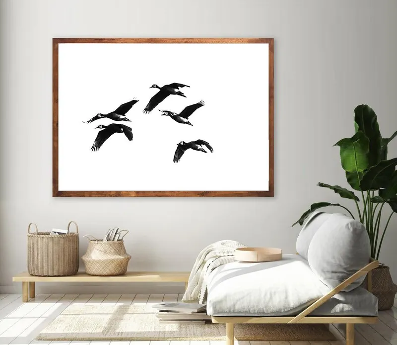 Whistling Ducks - Image 1