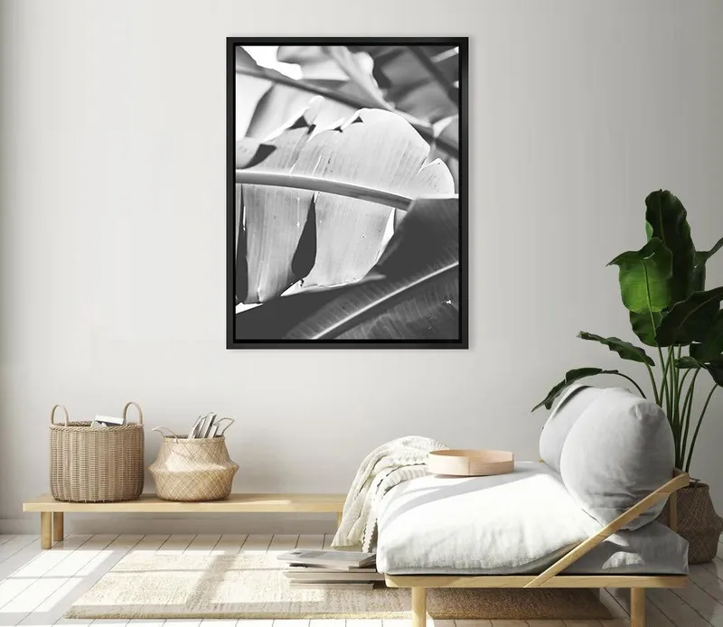 B/w Banana leaf 2 - Image 8