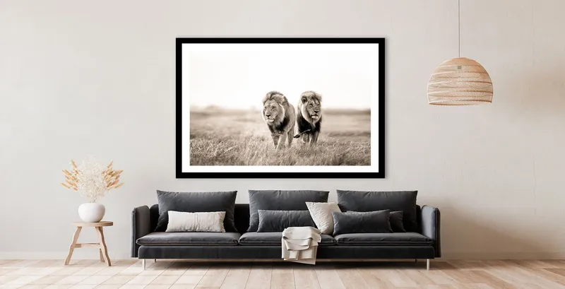Wild boys - Image 8