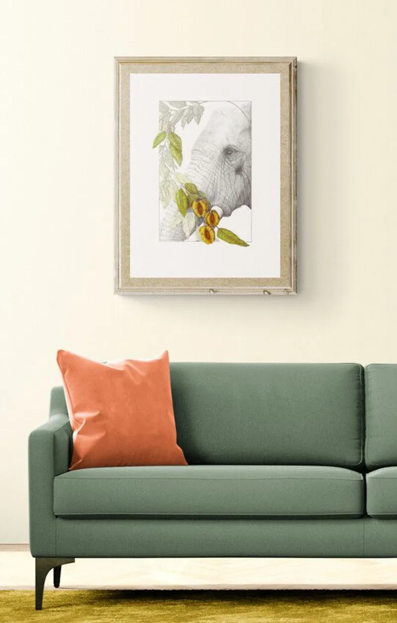 Zambezi Dreams - Image 2