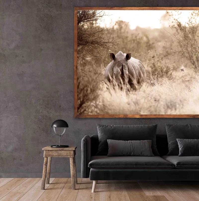 In the long grass - Image 1