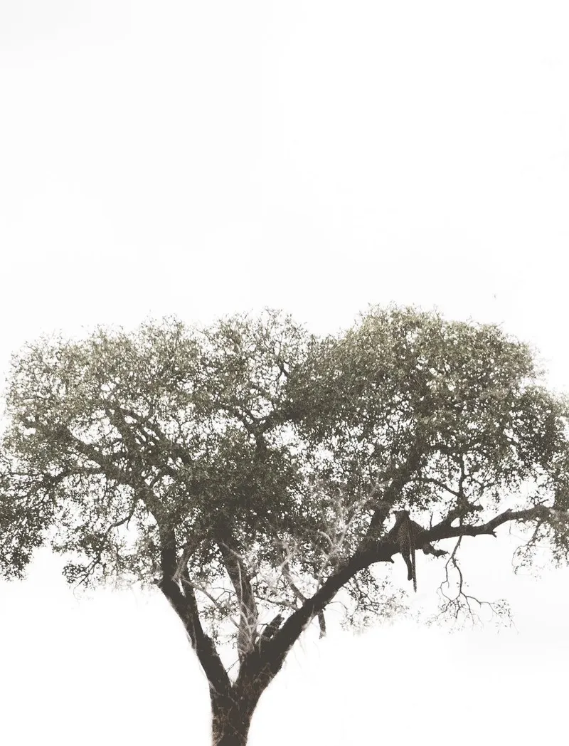 Horizon view - Image 2