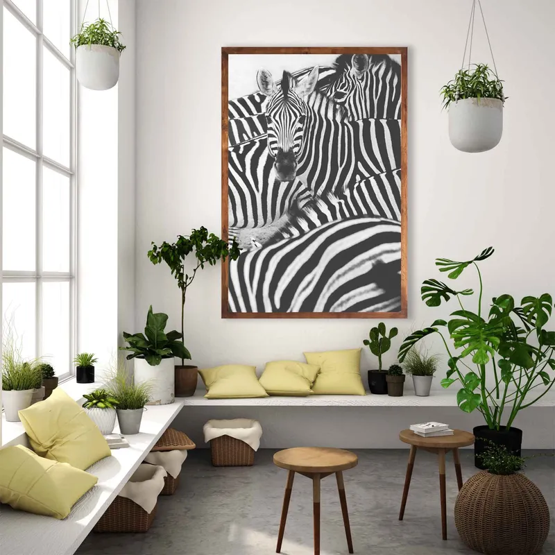 The sea of zebras - Image 1