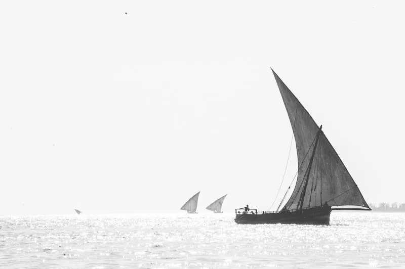 The Voyage