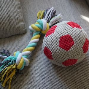 Pet Toys